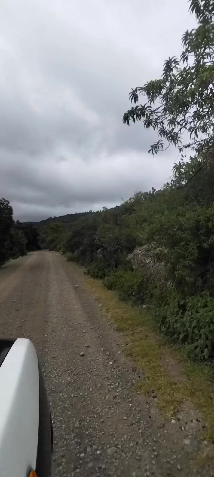 @Victor Heli González Rmz