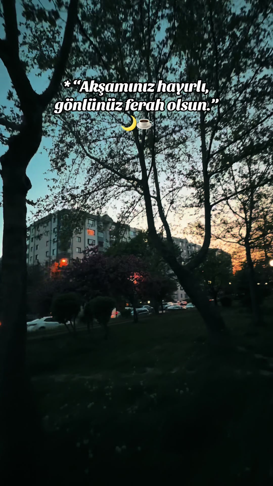 @🧿🇹🇷𝔻 𝐣🇹🇷🧿⚭⚭