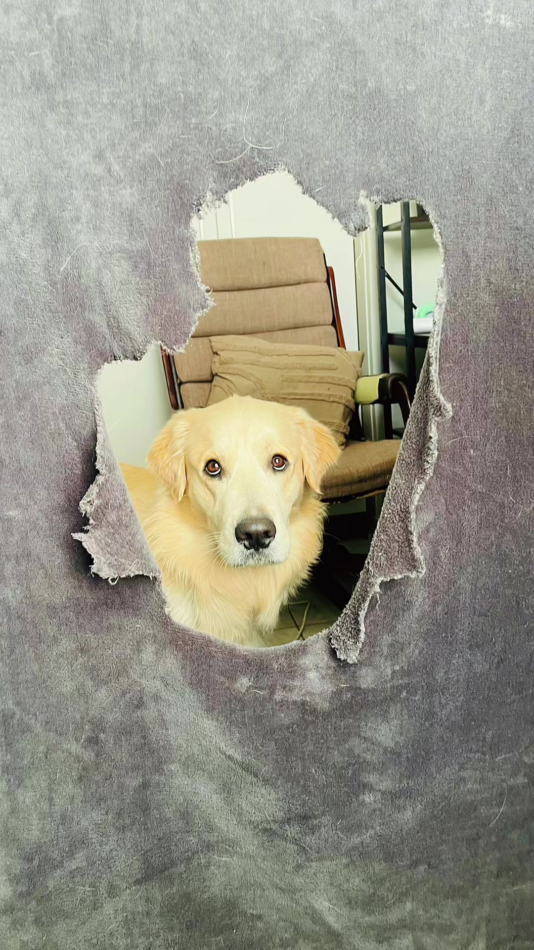 @Salaam and Friends