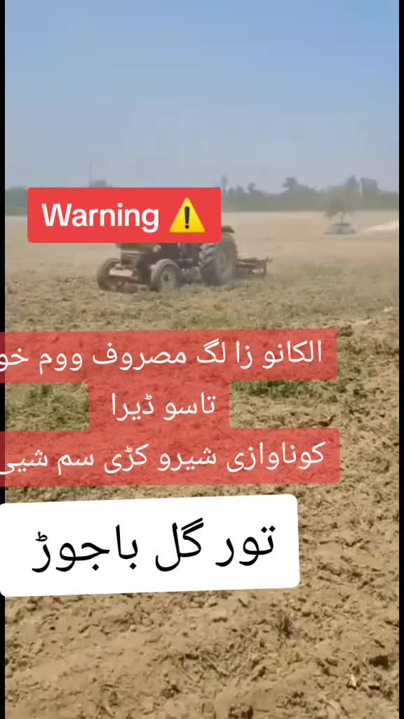 @🥇 تور۔ گل باجوڑ 🥇