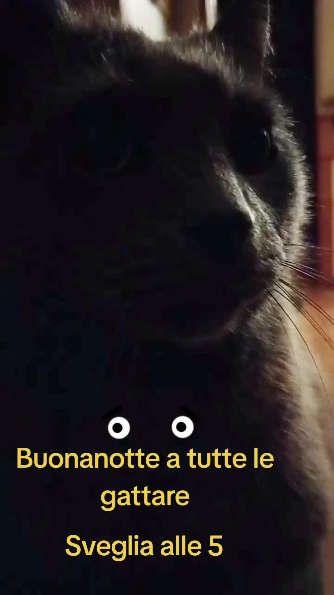 @flay 2026