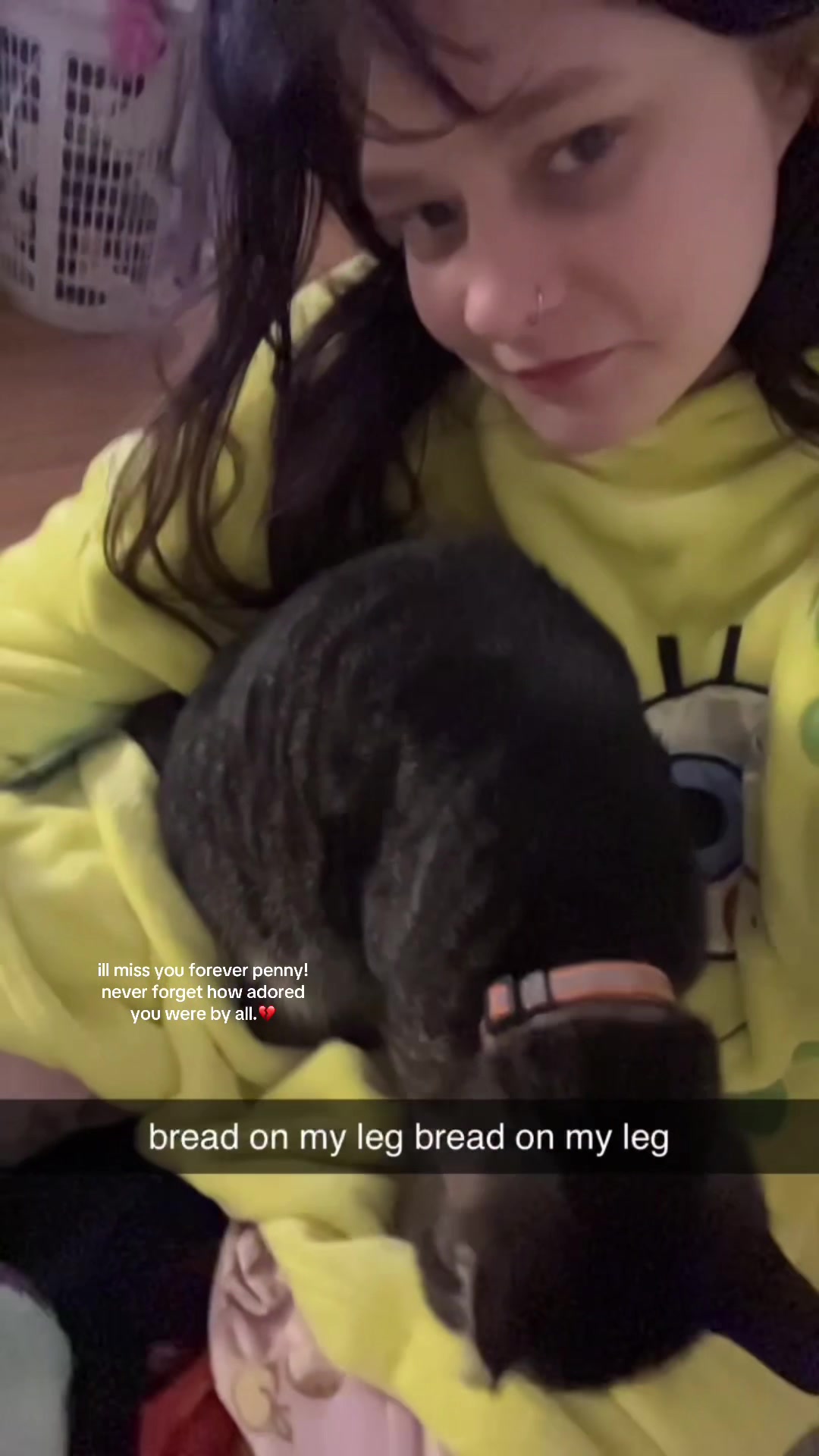 @tara⁷⟭⟬