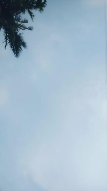 @laxmi poddar