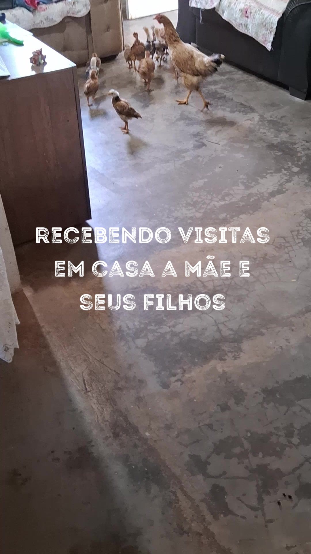 @Joana Morais