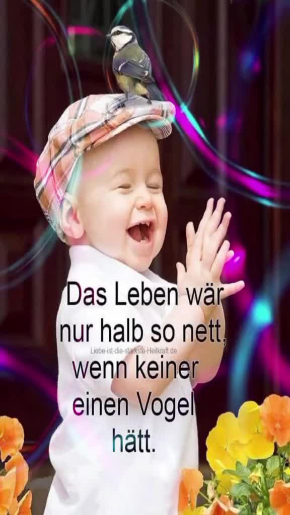 @tinchen59
