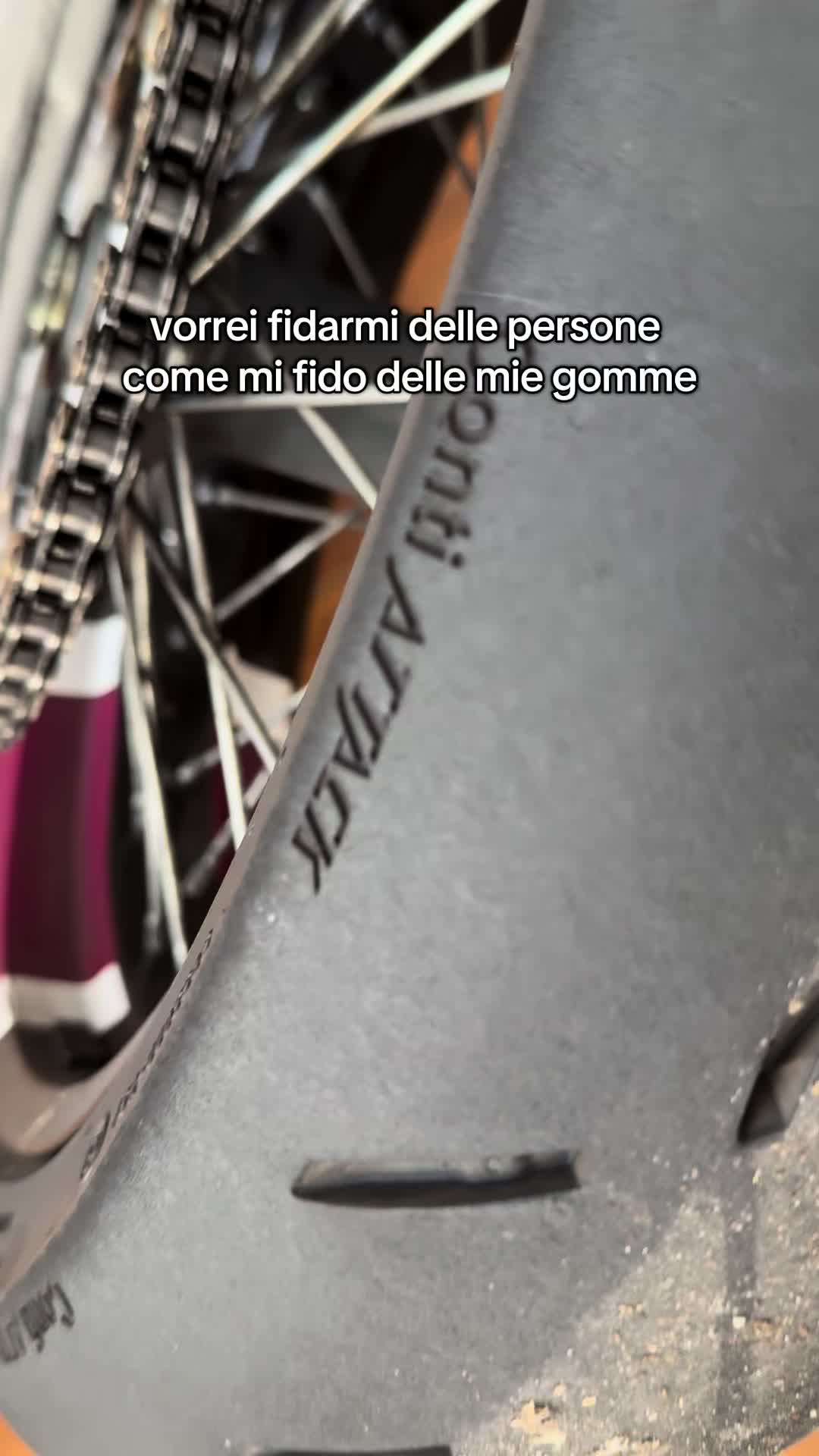 @__sacco_