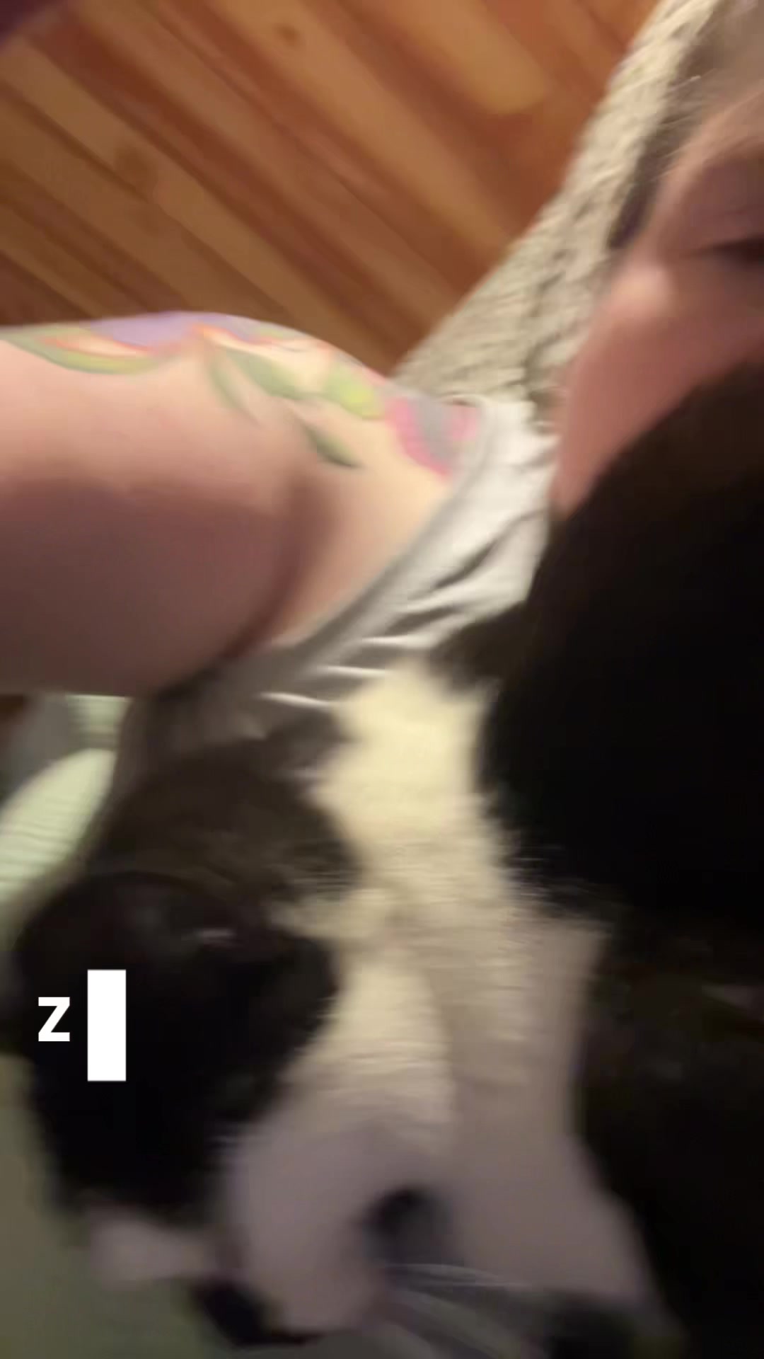 @steenercatmom
