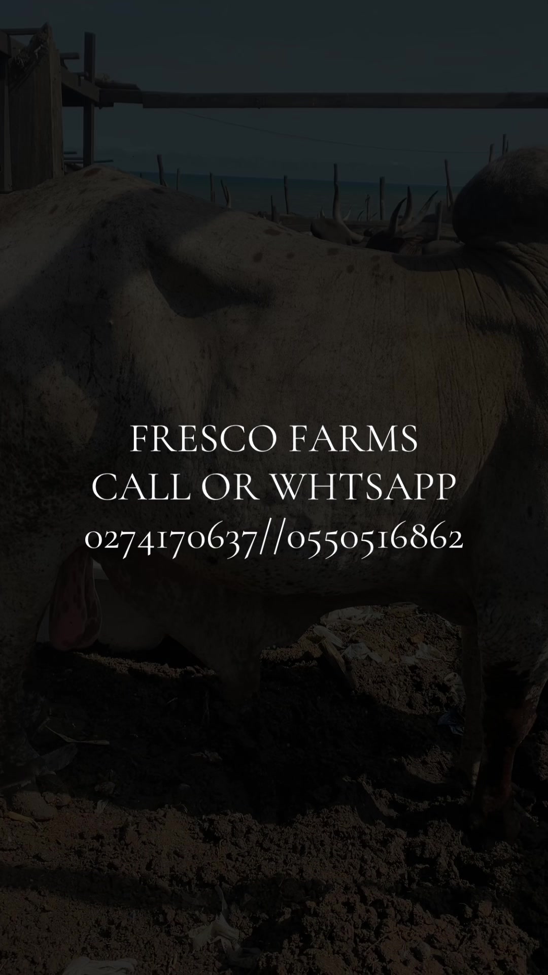 @FRESCOJORDAN