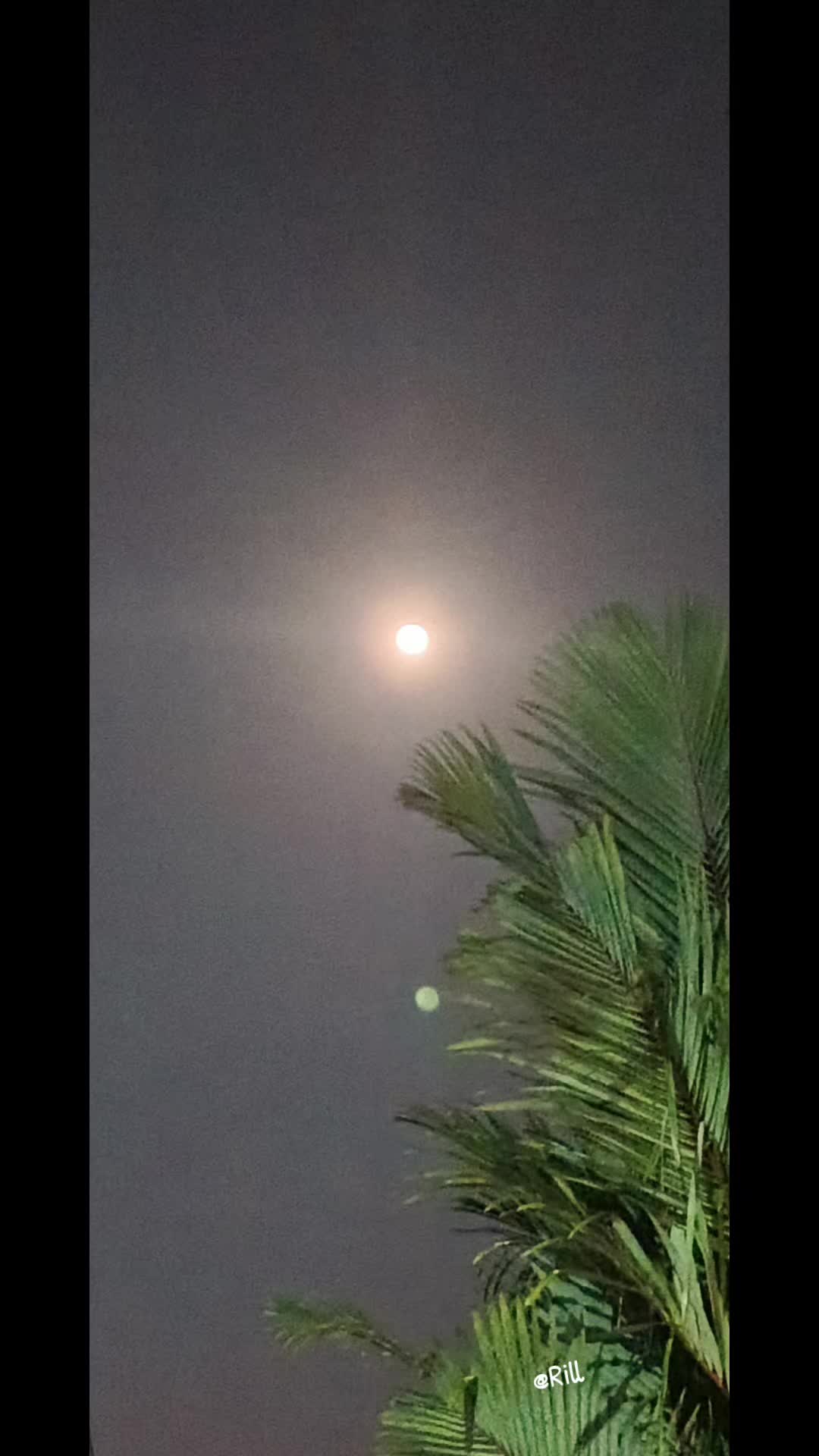 @๐RF15๐ค