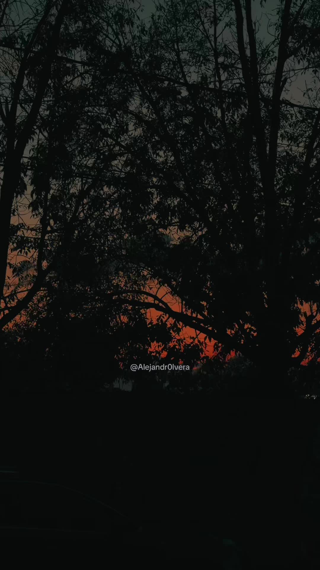 @Alejandro Olvera