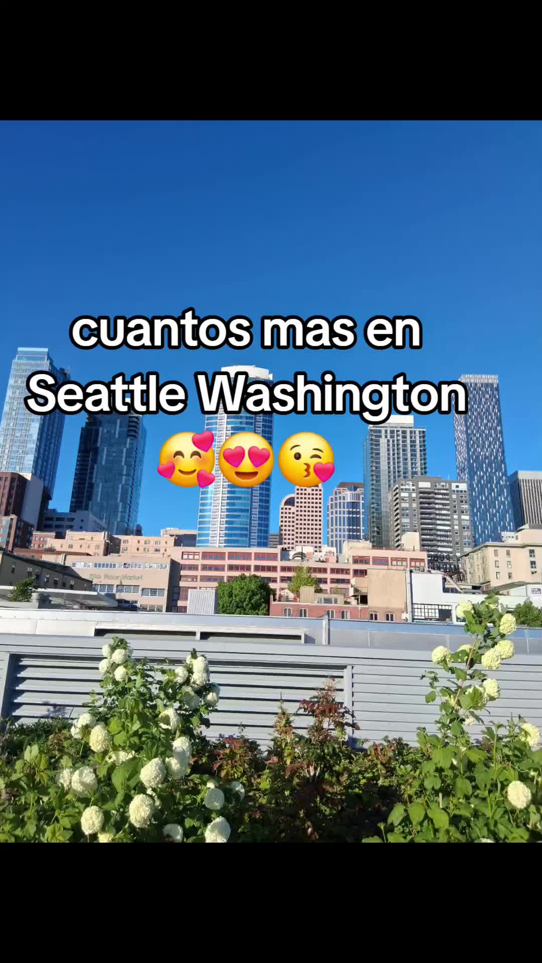 @❤️🩹Sandra.D.L🥰