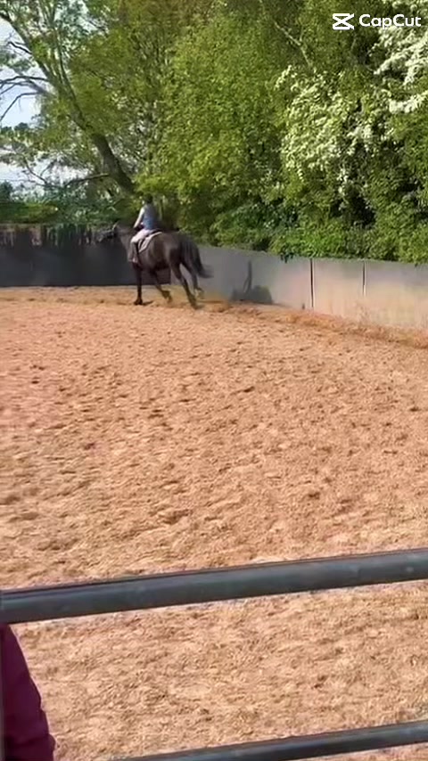 @G May Eq
