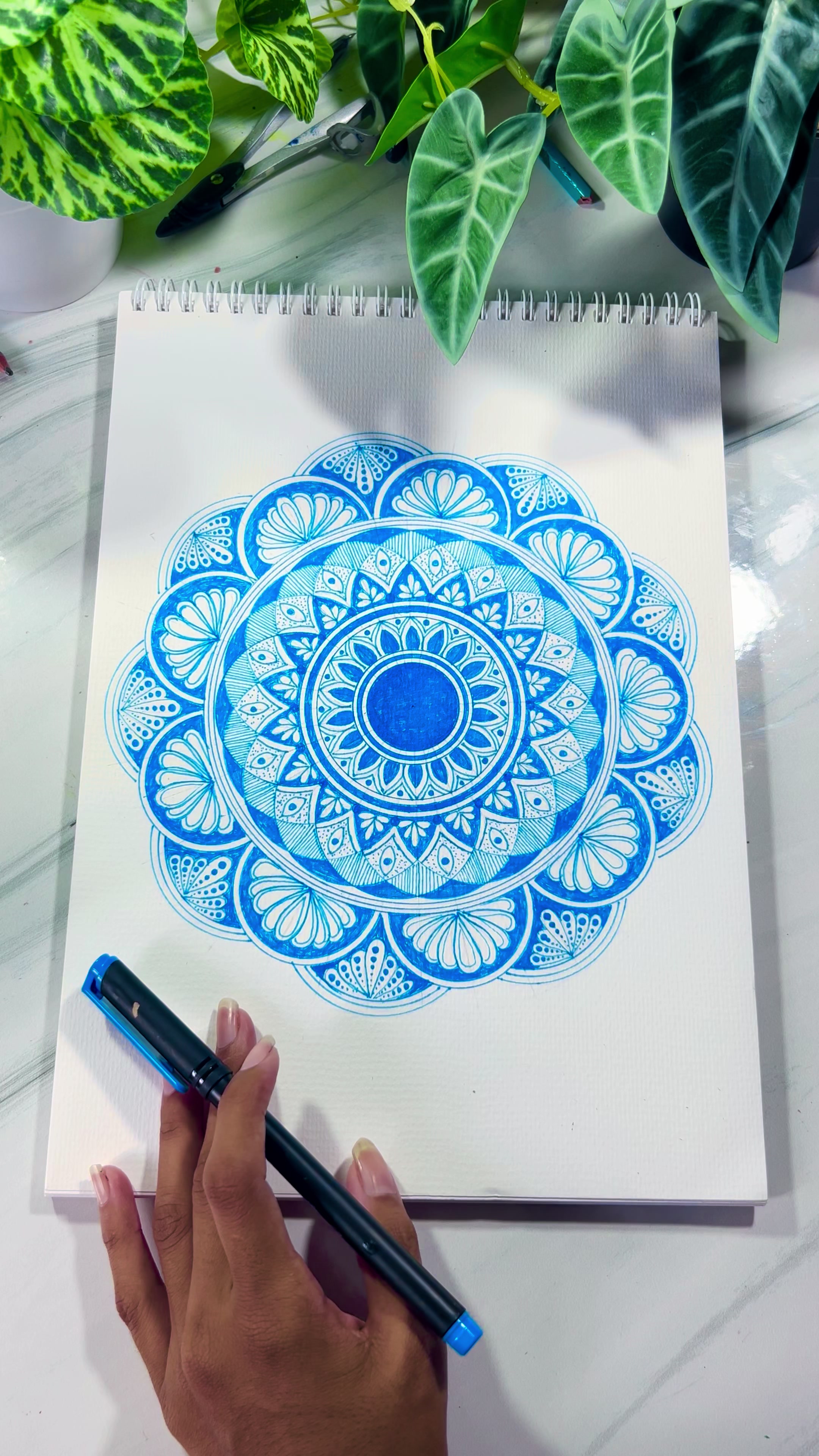 @sachi_art_