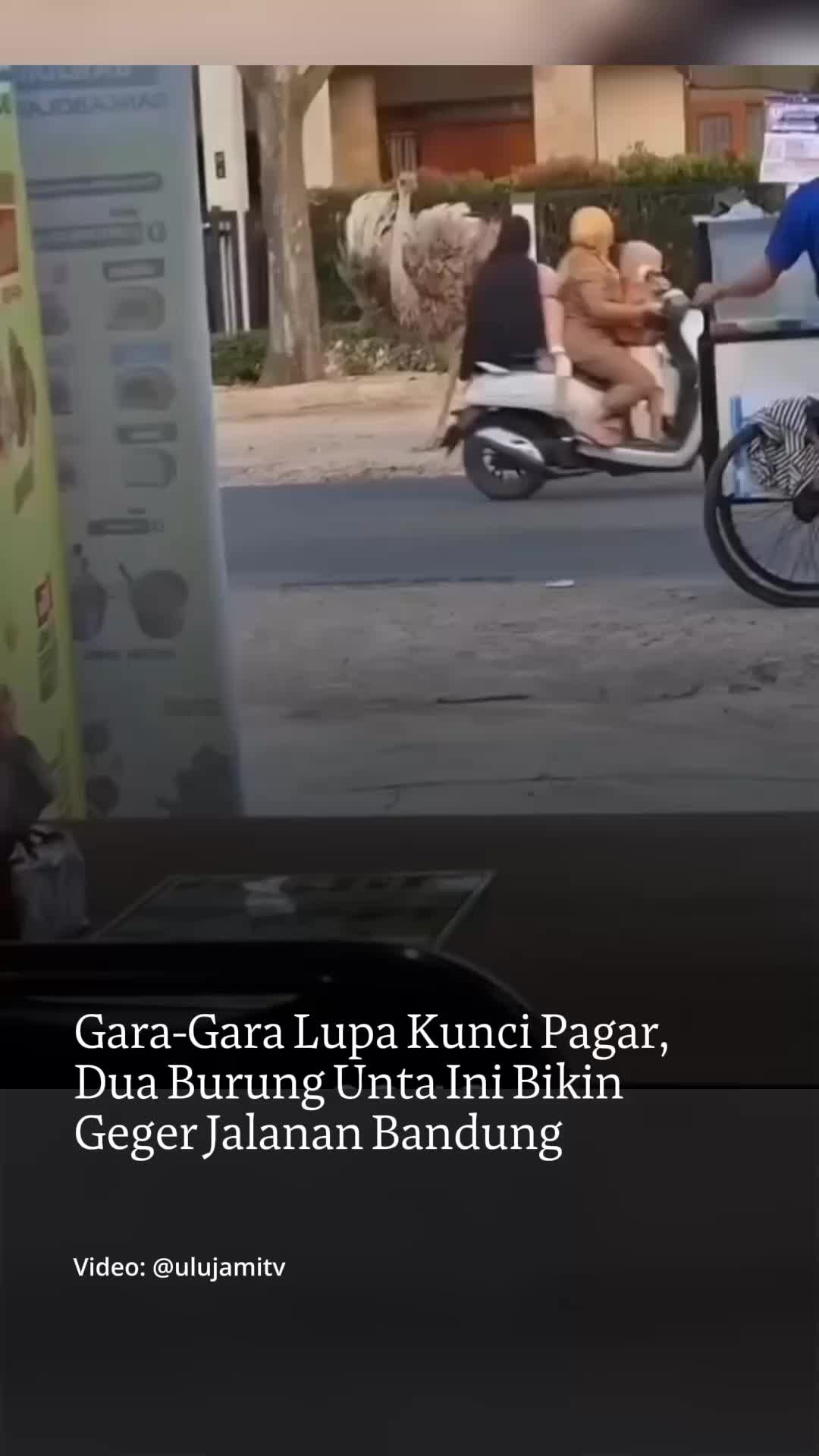 @mongabayindonesia