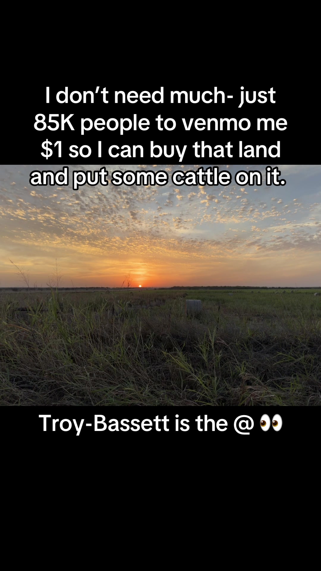 @Troy Bassett