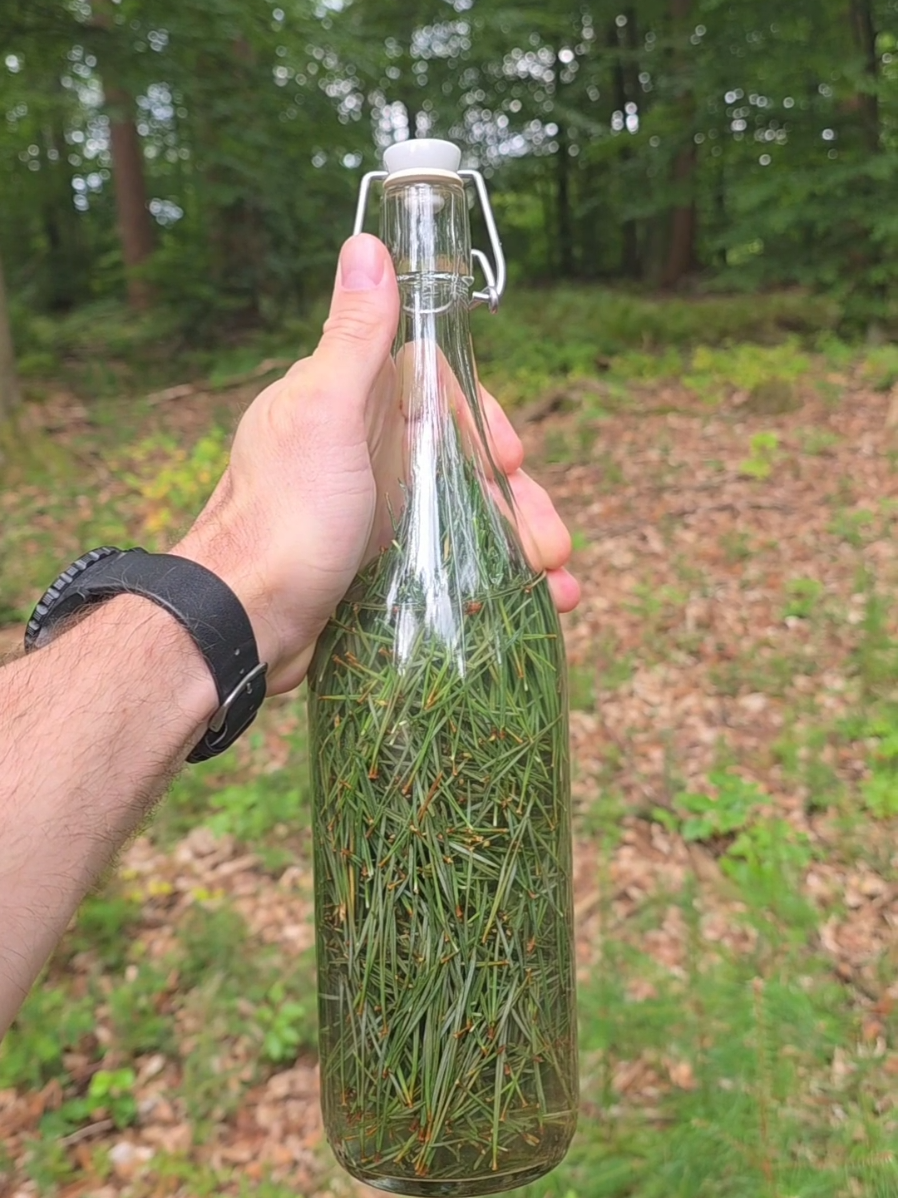@winter_and_bushcraft