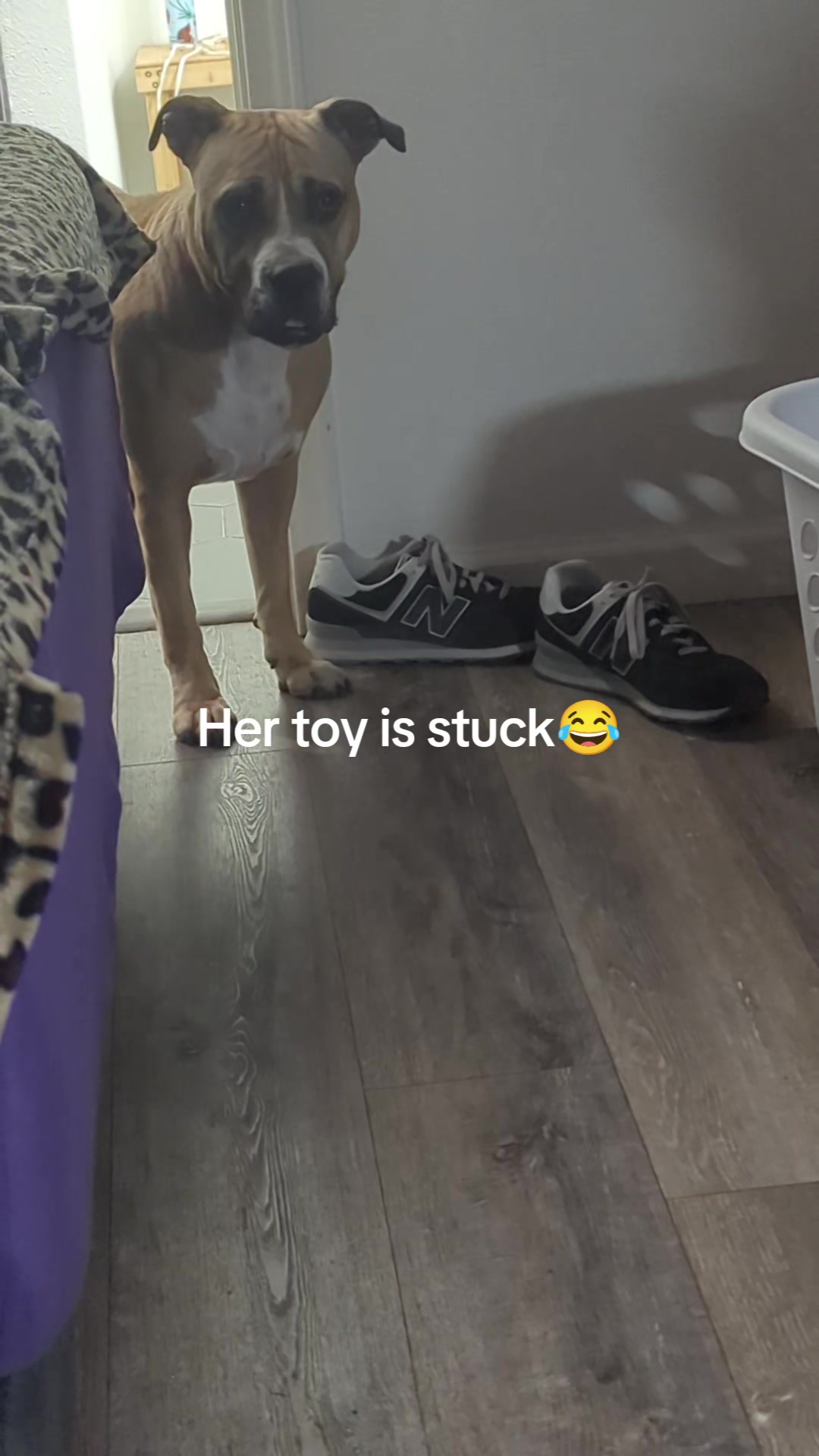 @Nikkiblu82