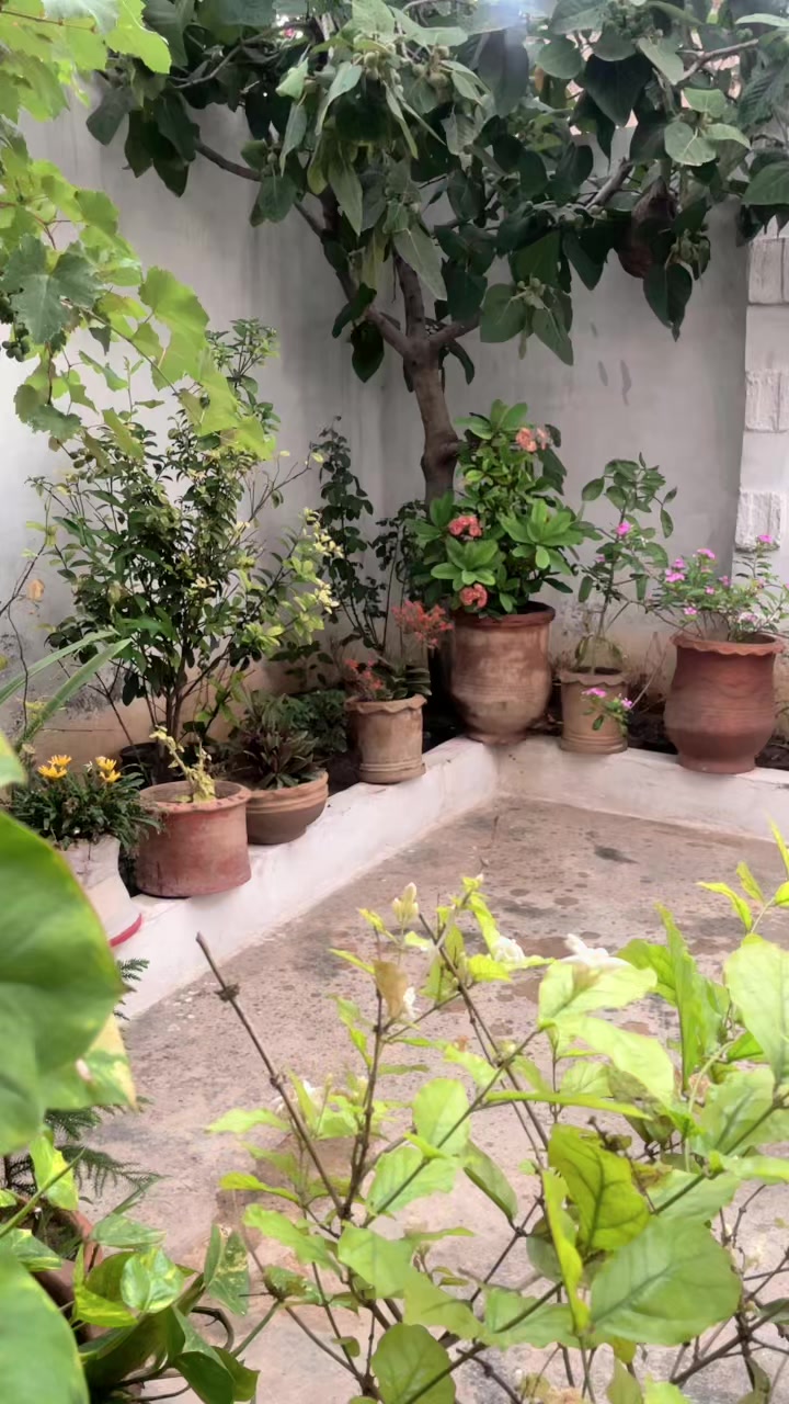 @زوجہ عمیر کیانی⚜️