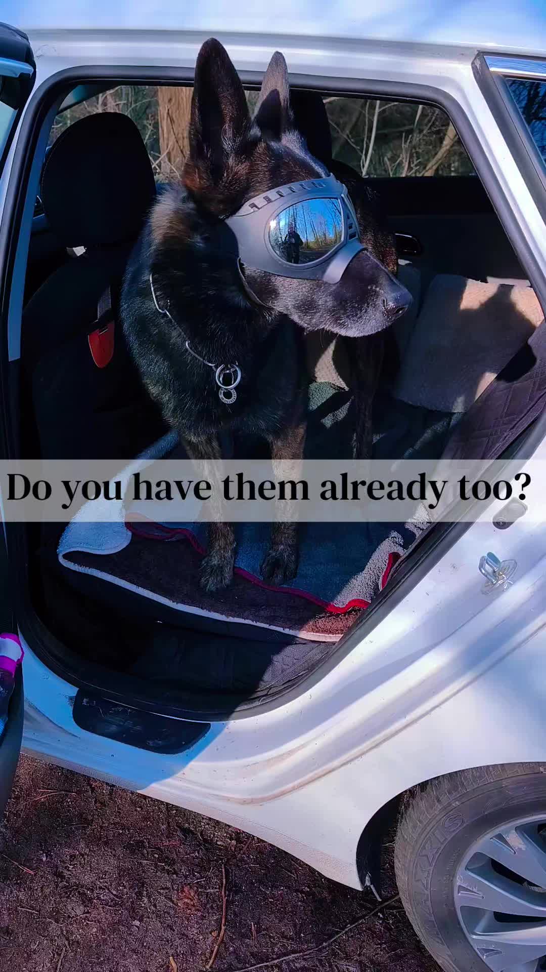 @Anna & Neo 🖤🐾