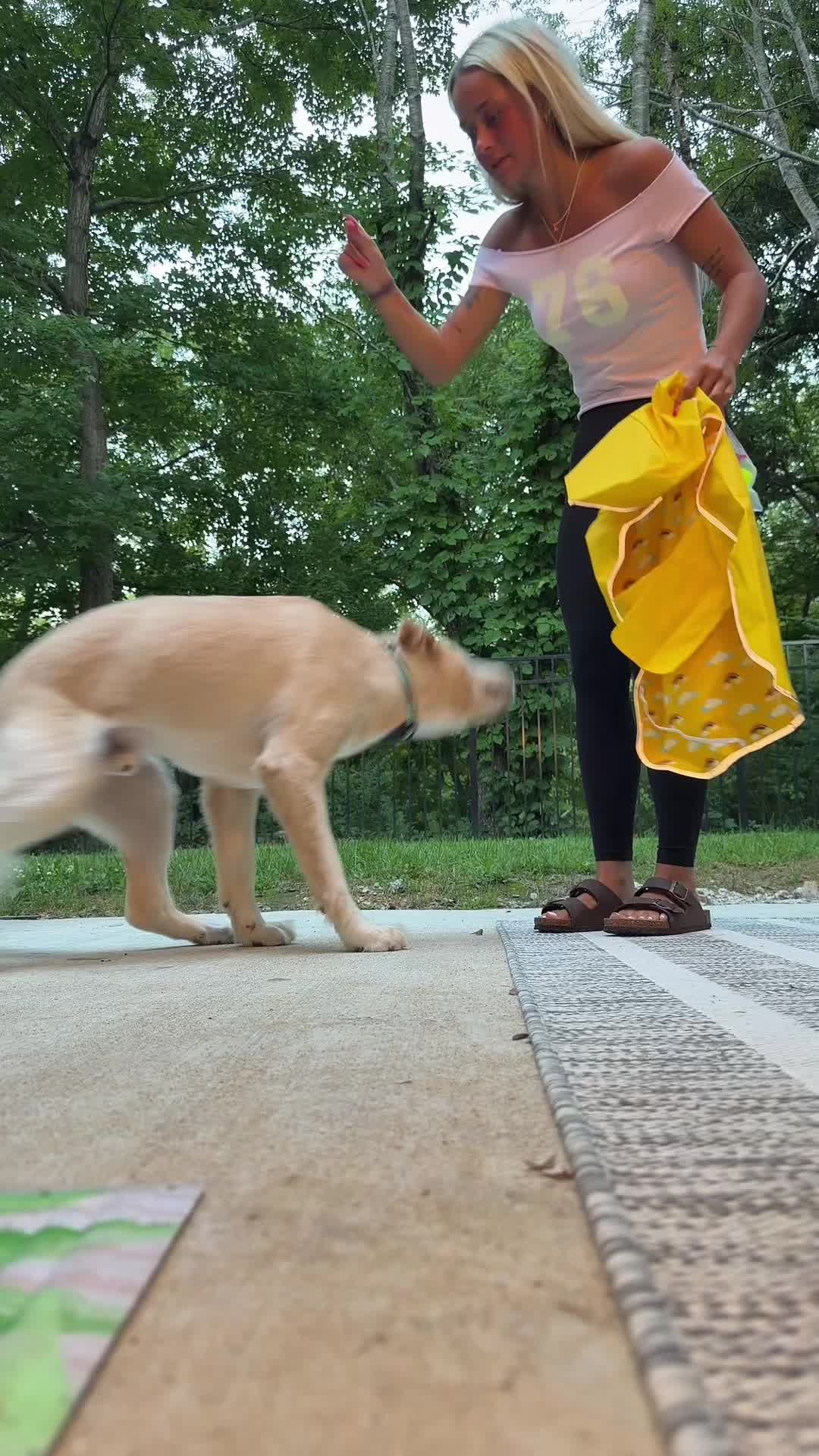 @addison.traviss