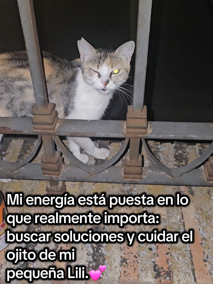 @garritasespaciales