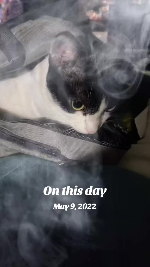 @💚 🍃ProudGen❌er💚🍃420🍃🤘🖤