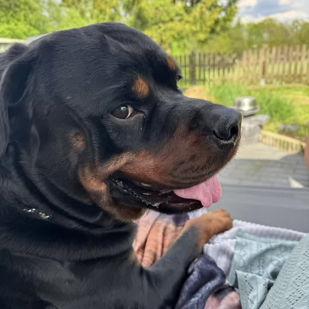 @Saphir🥰🐾