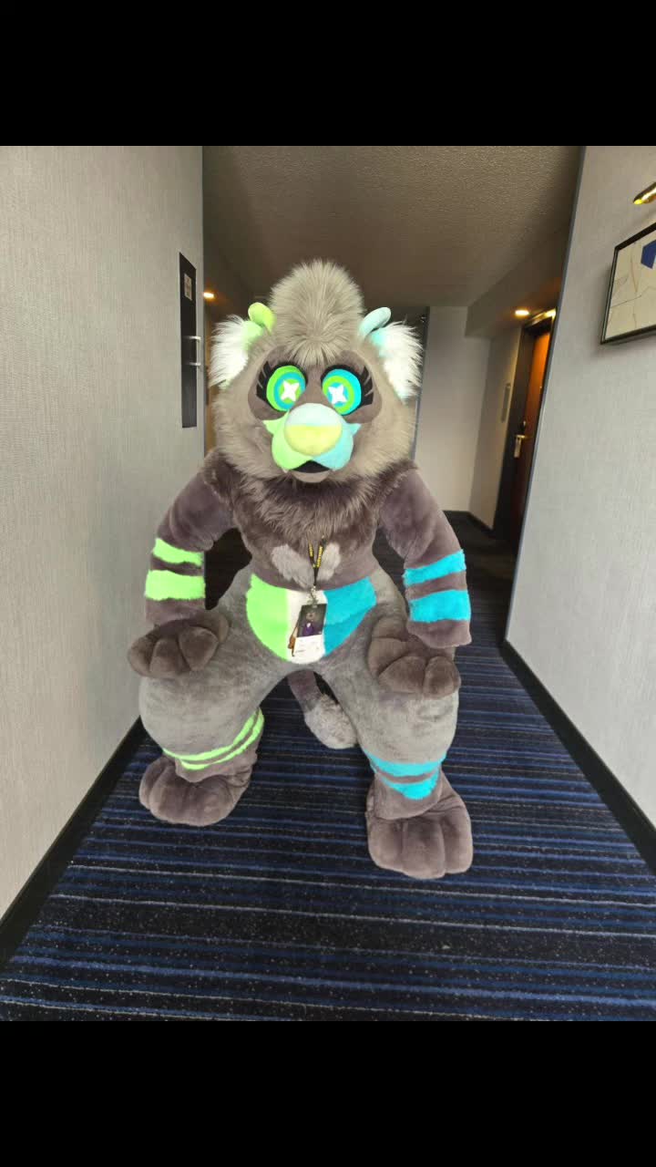 @Nexa Ferret