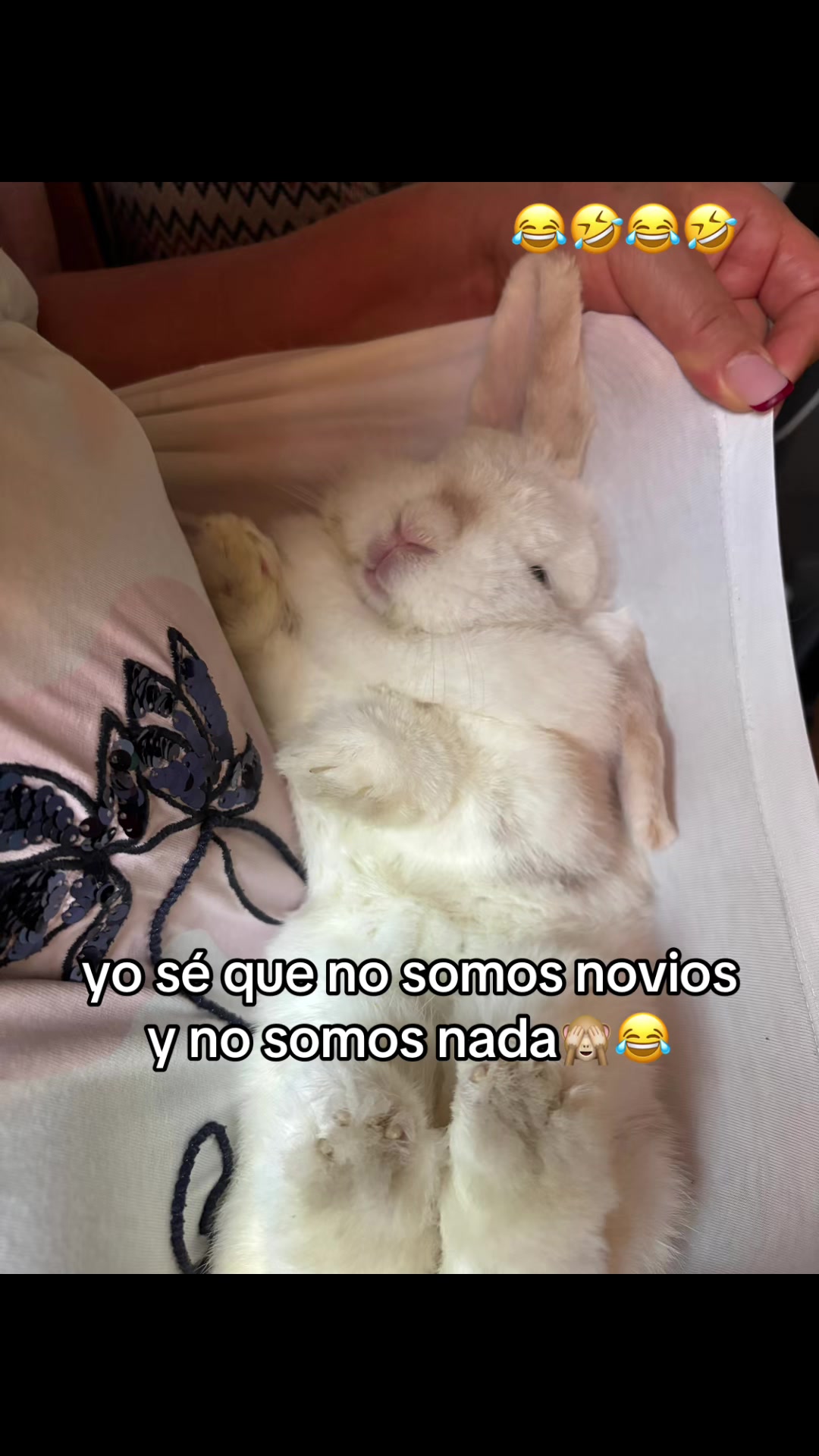 @Rebeky🦒✨
