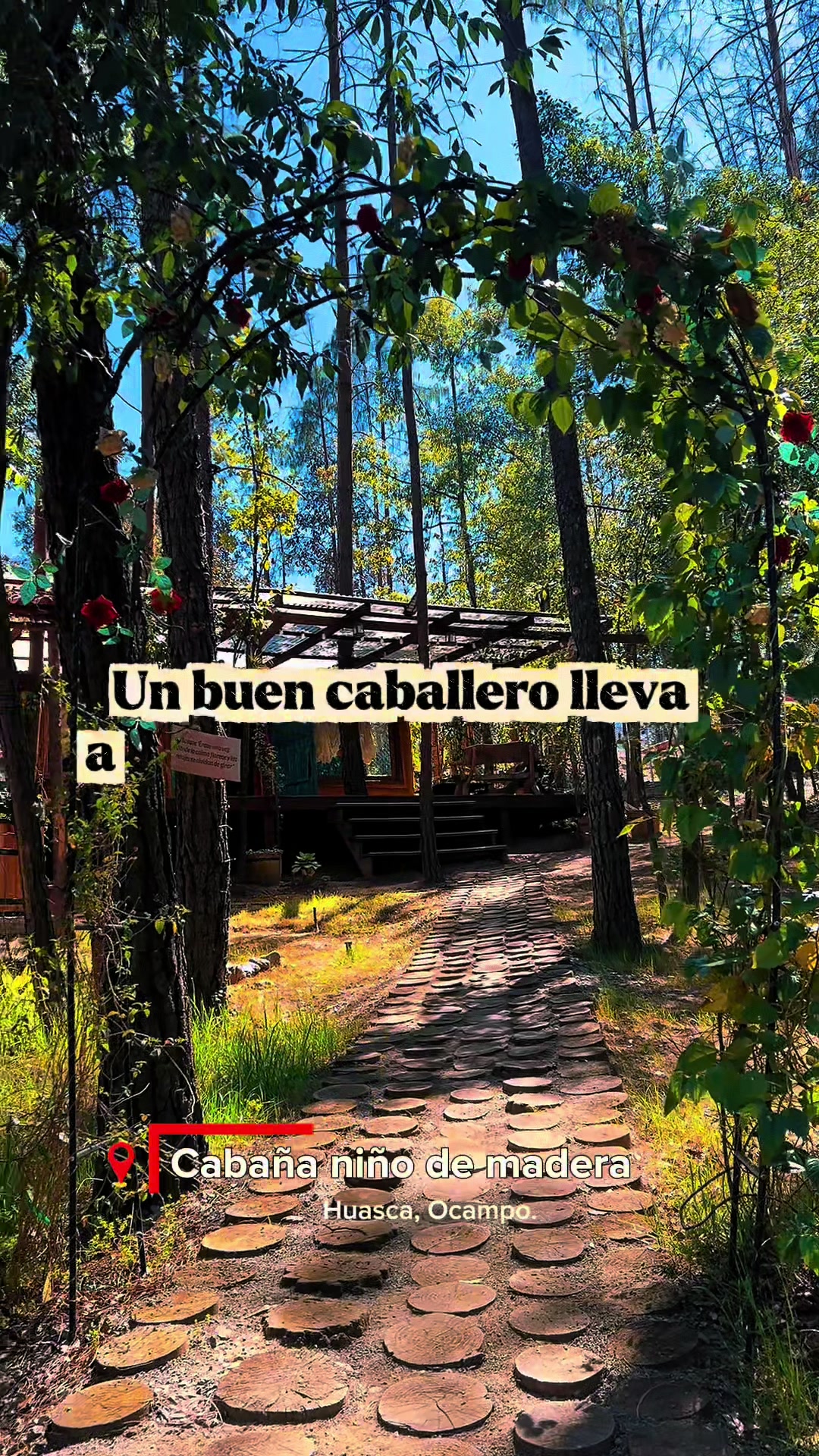 @Bosque Erase Una Vez