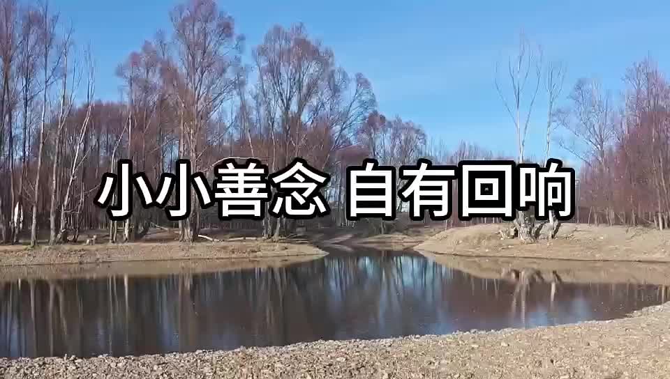 @云丹