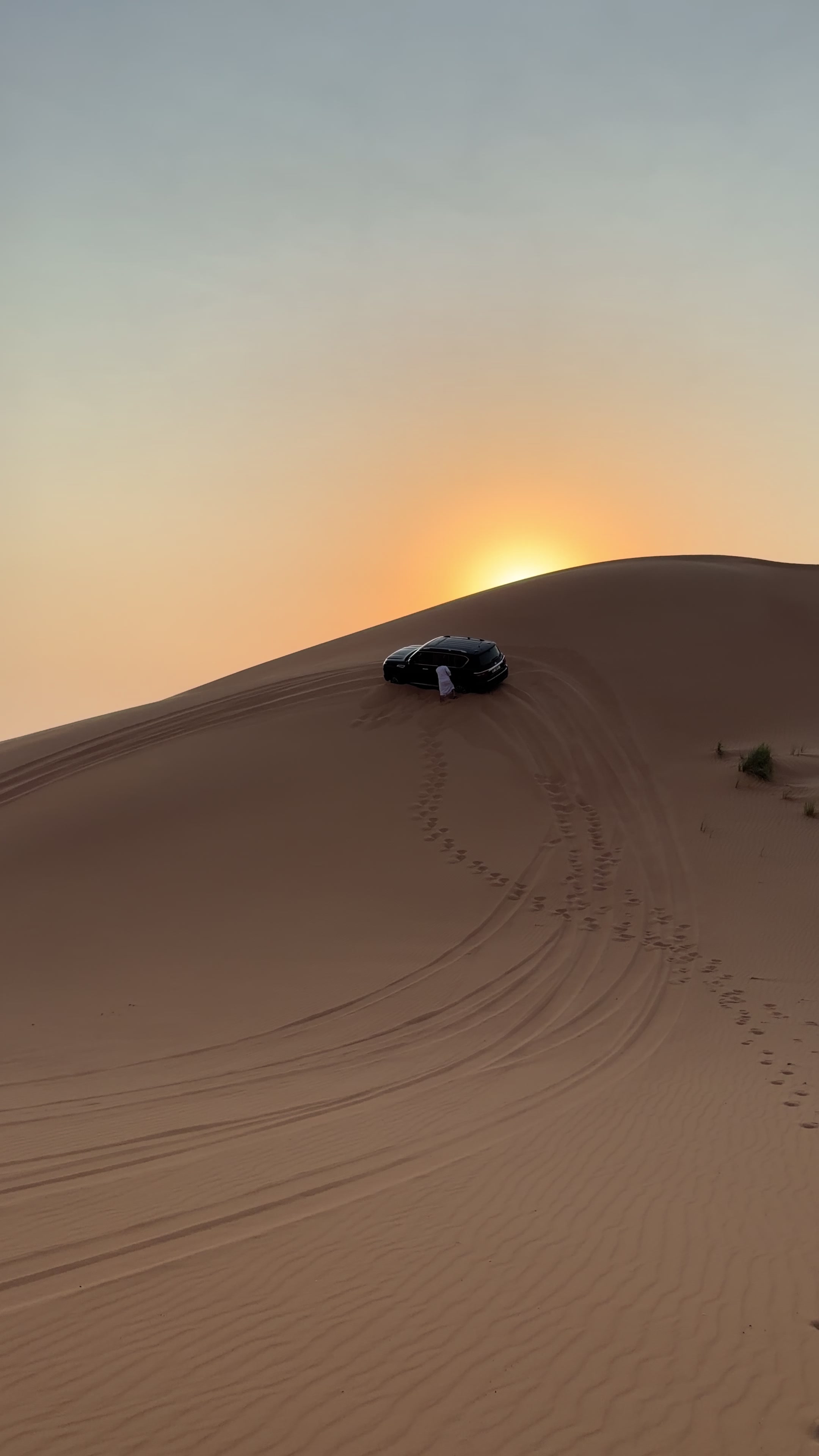 @dubaireddunessafari1