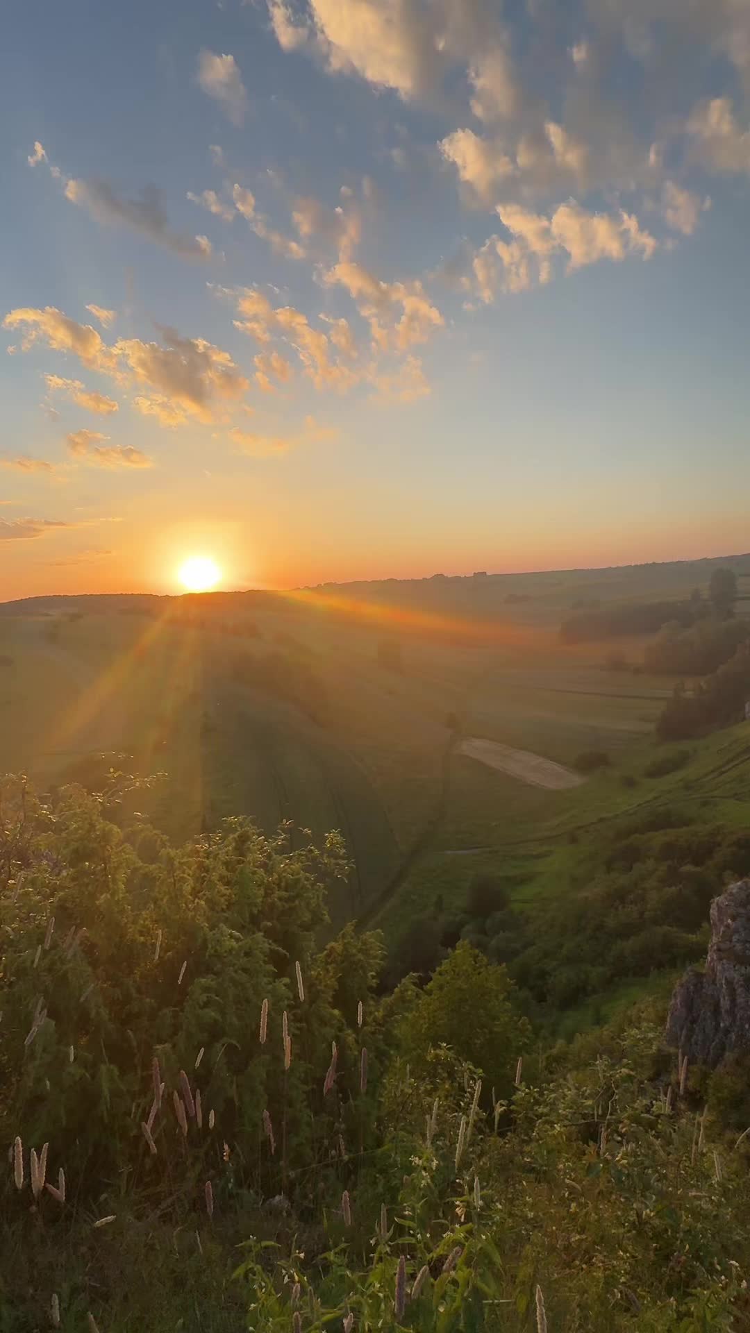 @kvbvrr_sxf_250