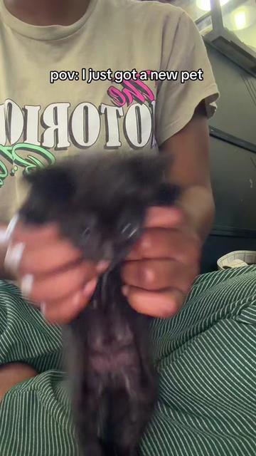 @jada 🎀🤍.
