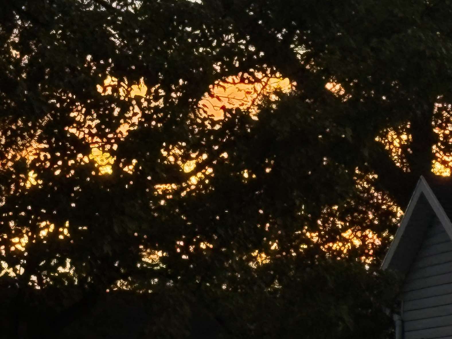 @777alex444
