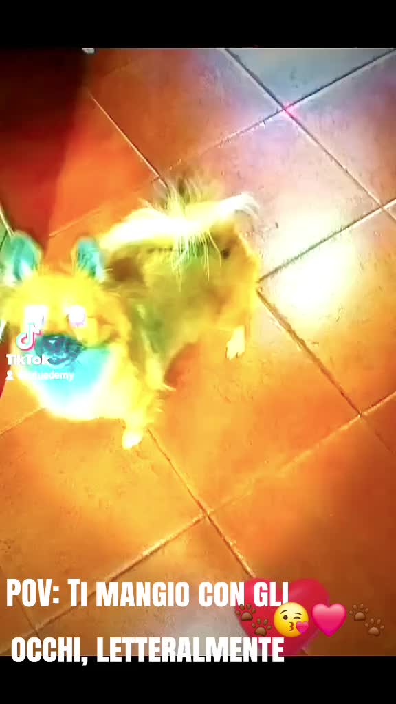 @๐ถโ๐ ๐ฟ๐๐ù ๐โ๐ถ