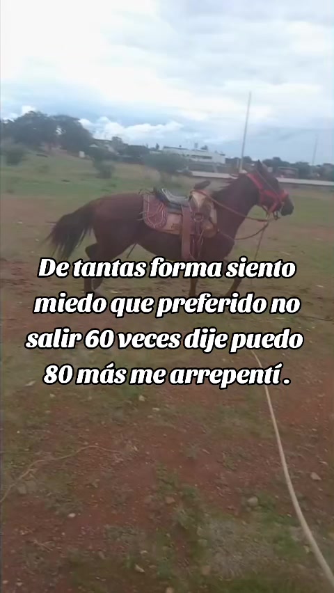 @Reyes