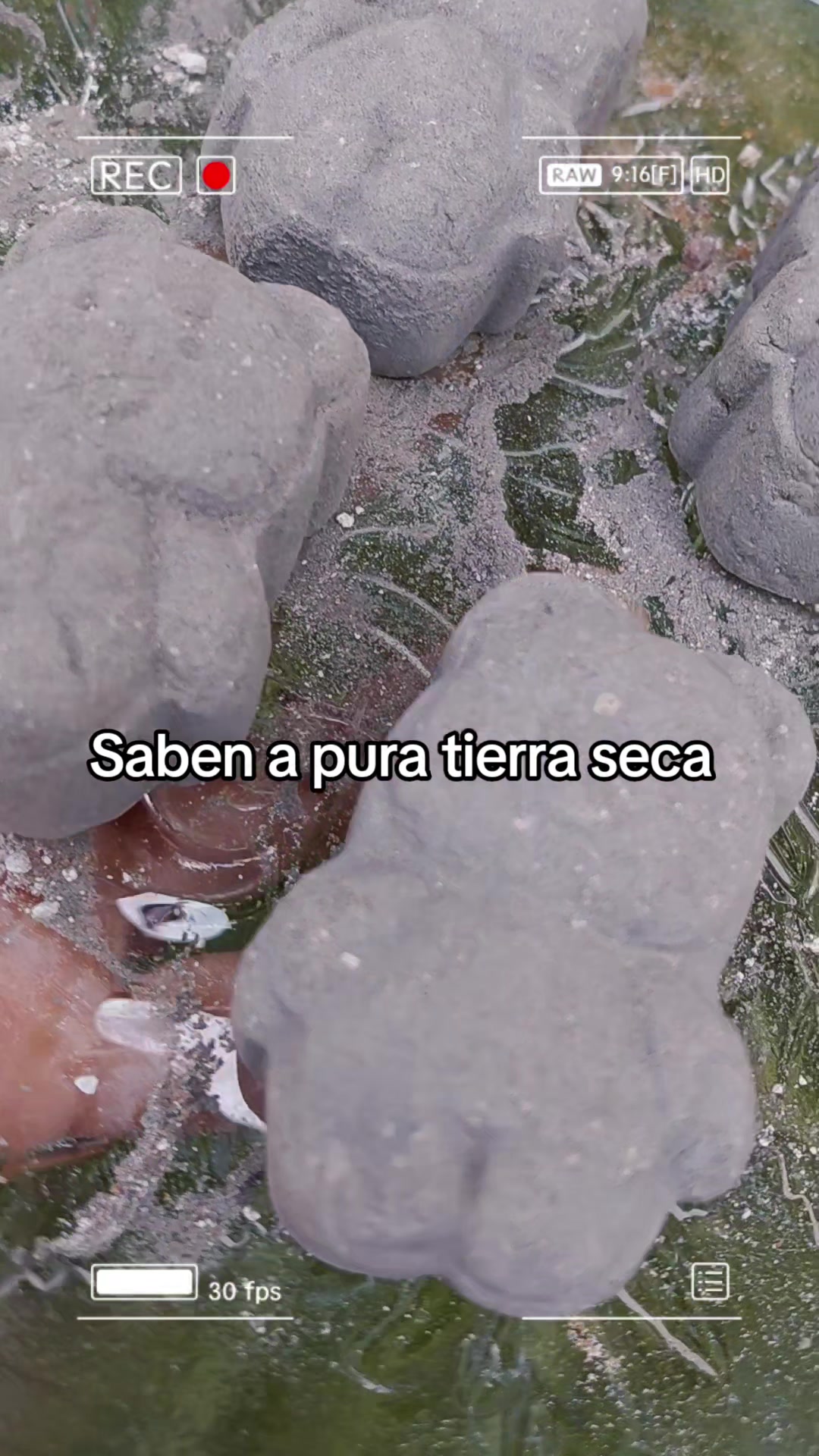 @Zara Mendoza