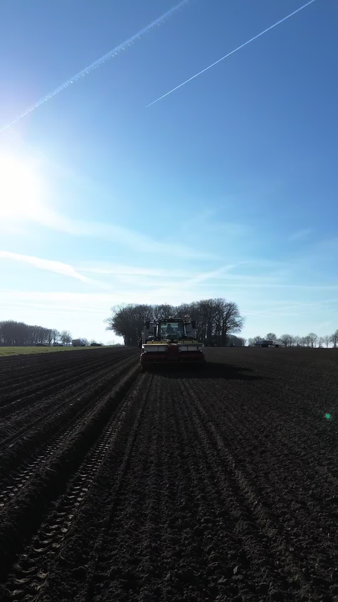@Gaus-Lütje Kartoffeln