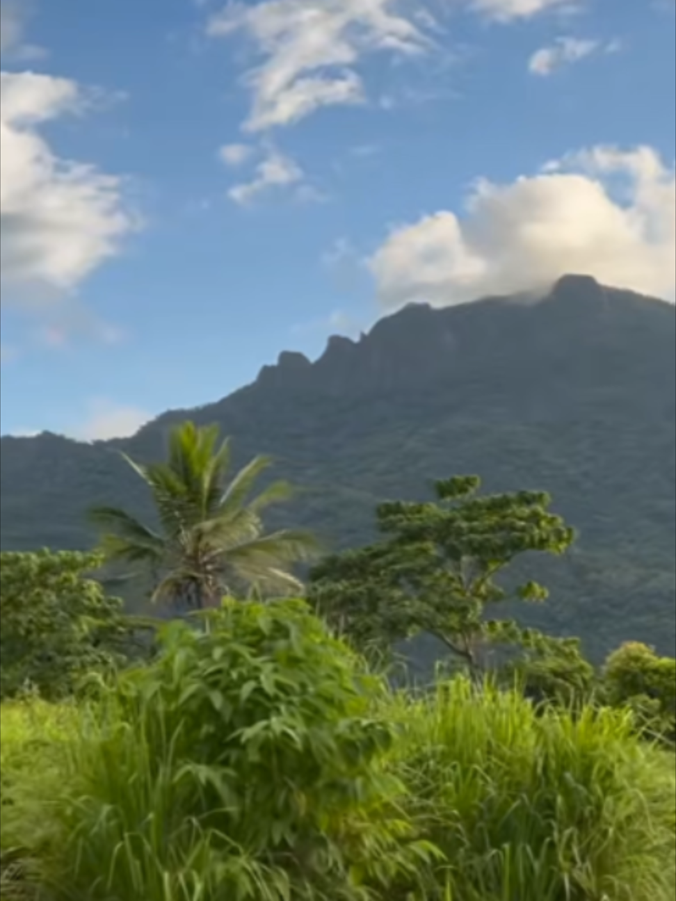 @FijiEco 🇫🇯