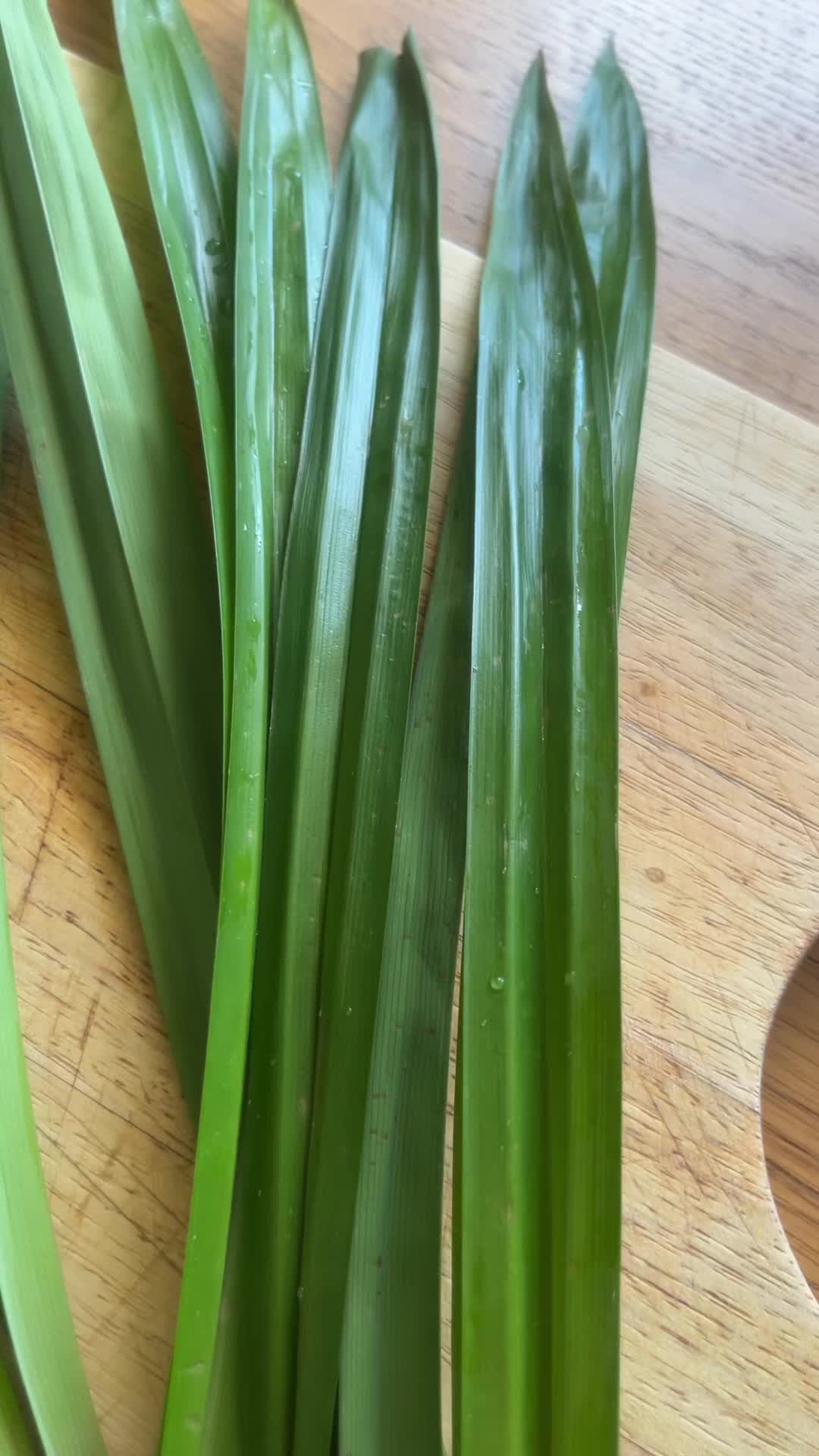 @thaifooddirect