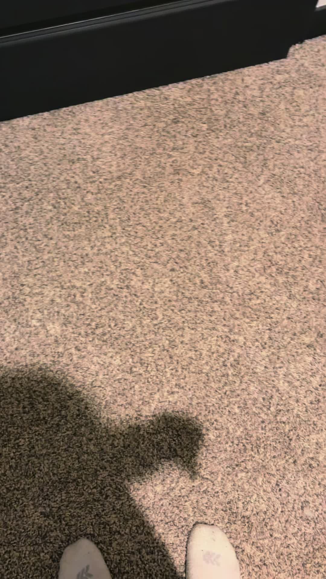 @ColtonMK