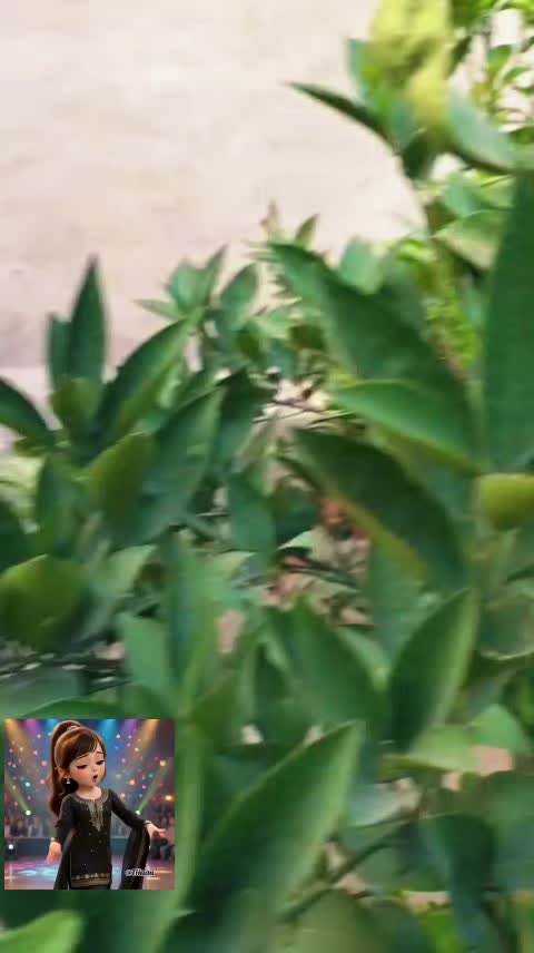 @Shahista♥️🇵🇰♥️🫶