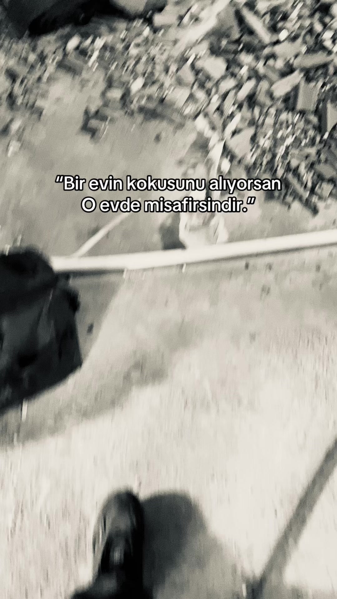 @🕊️