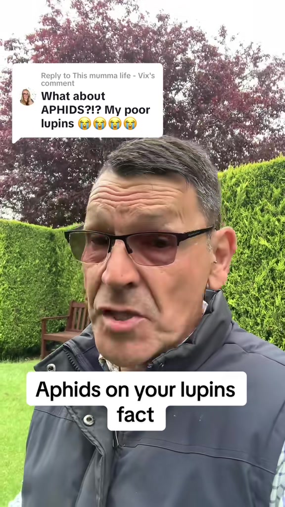 @notmrspock