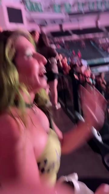 @din0kitten