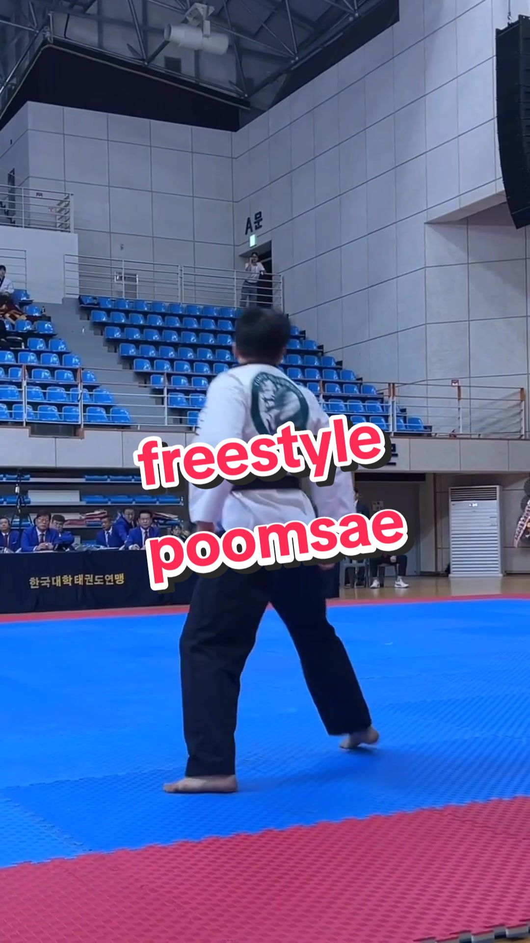 @Taekwondo Content Creator