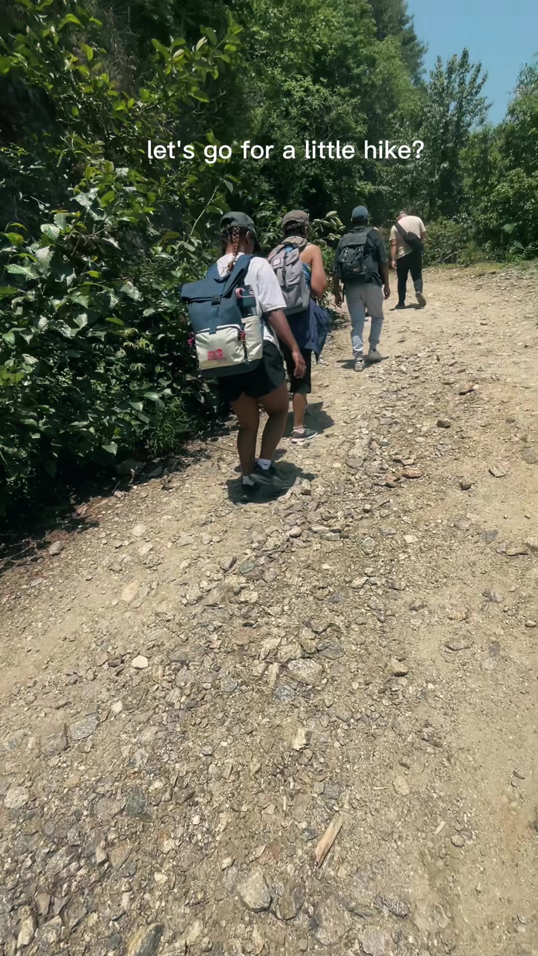 @थिँयाल 🌿