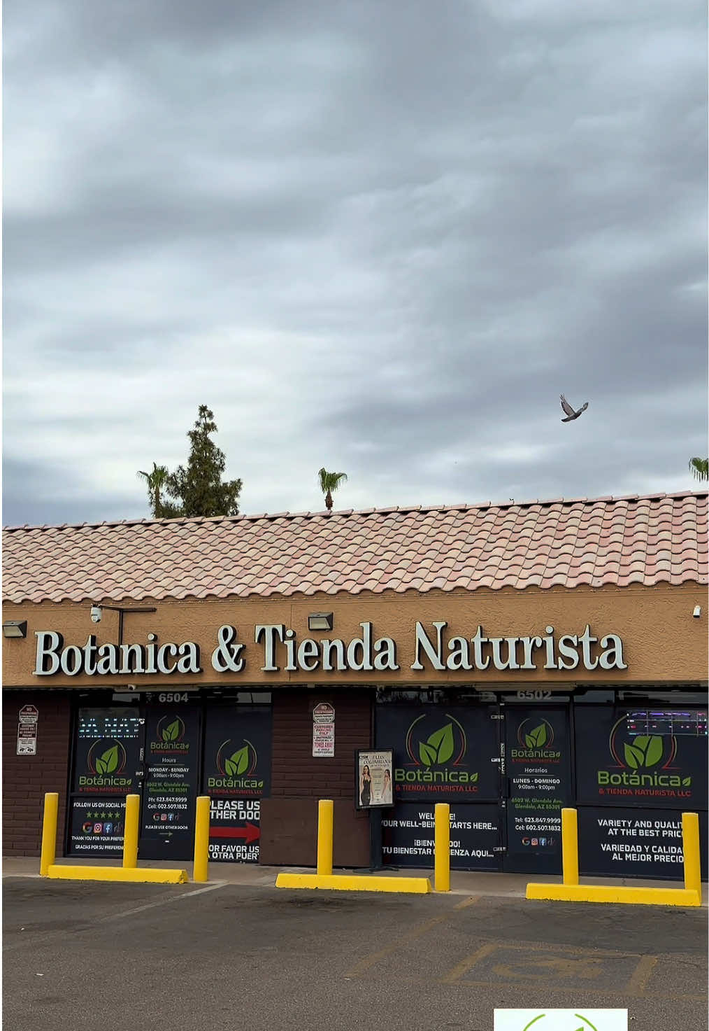 @Bot&aacute;nica & Tienda Naturista 🌿