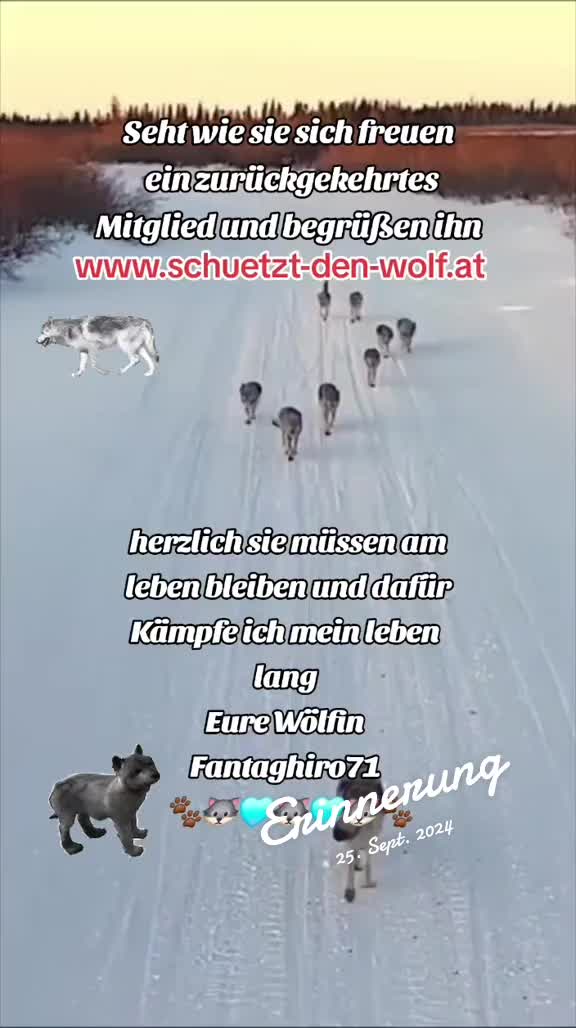 @Schutz für Wolf und Weide 🇦🇹